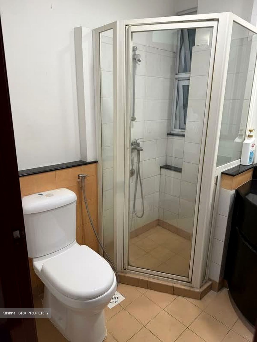 Euphony Gardens (D27), Condominium #555506281
